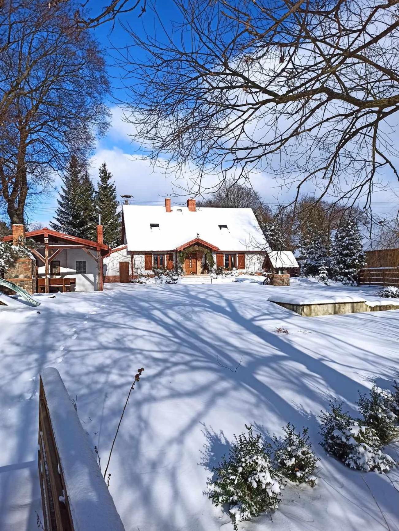 Nad Rumianem Rybno (Dzialdowo) Exterior foto